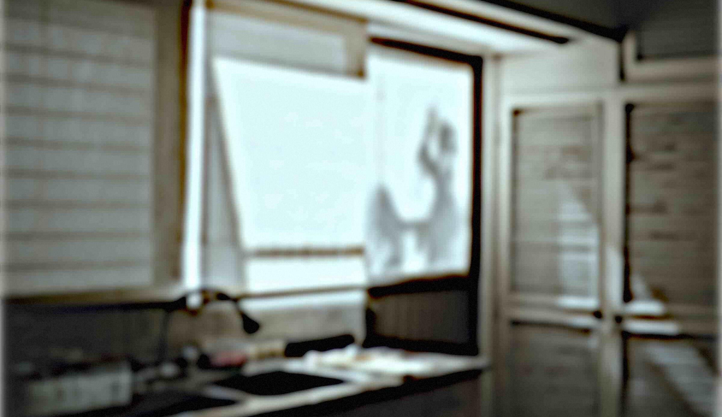 A photograph processed by the Buffer machine. The blurry cyan webcam of 2002.