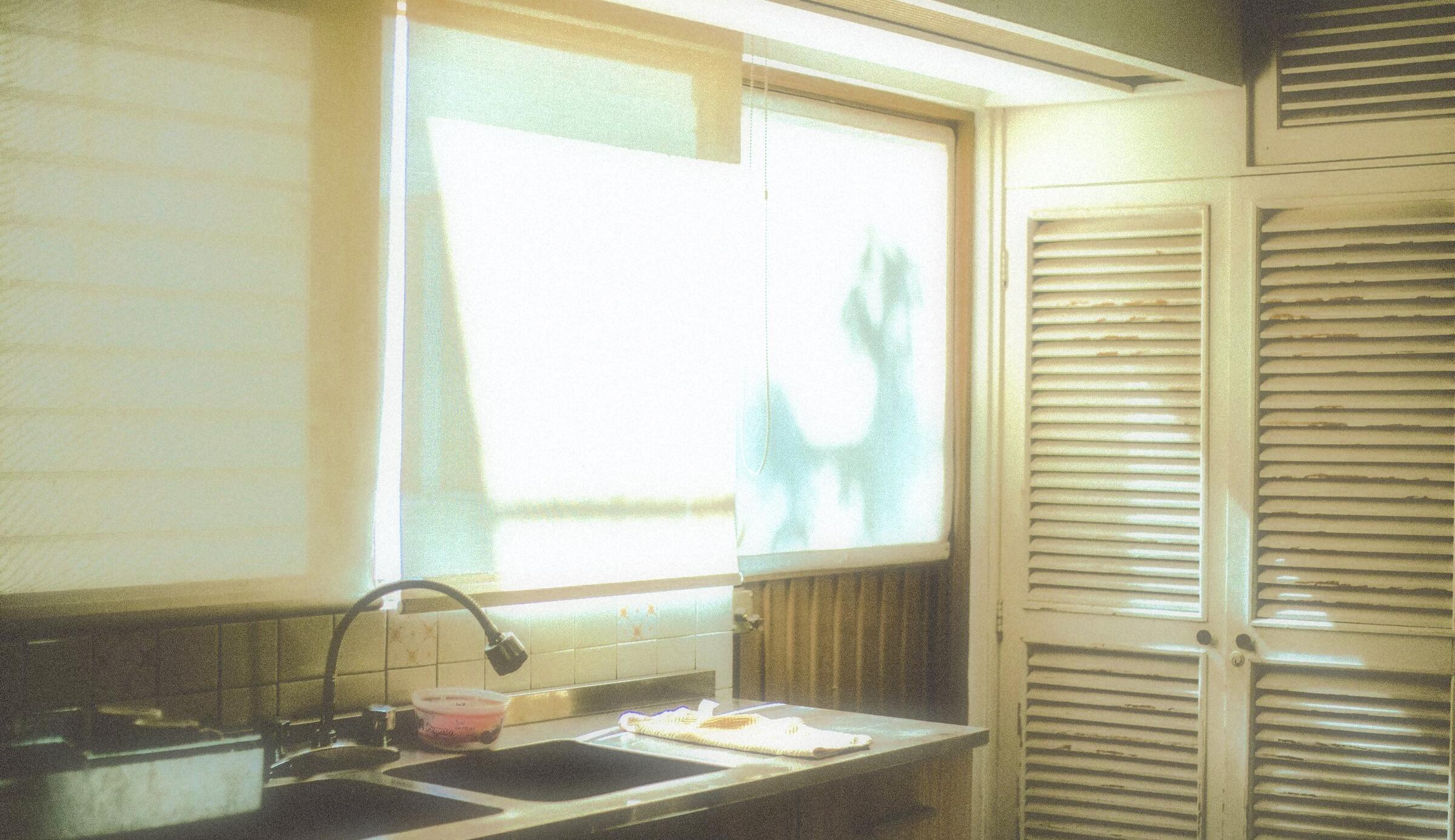 A photograph processed by the Disposable machine. The single-use camera nobody returns.