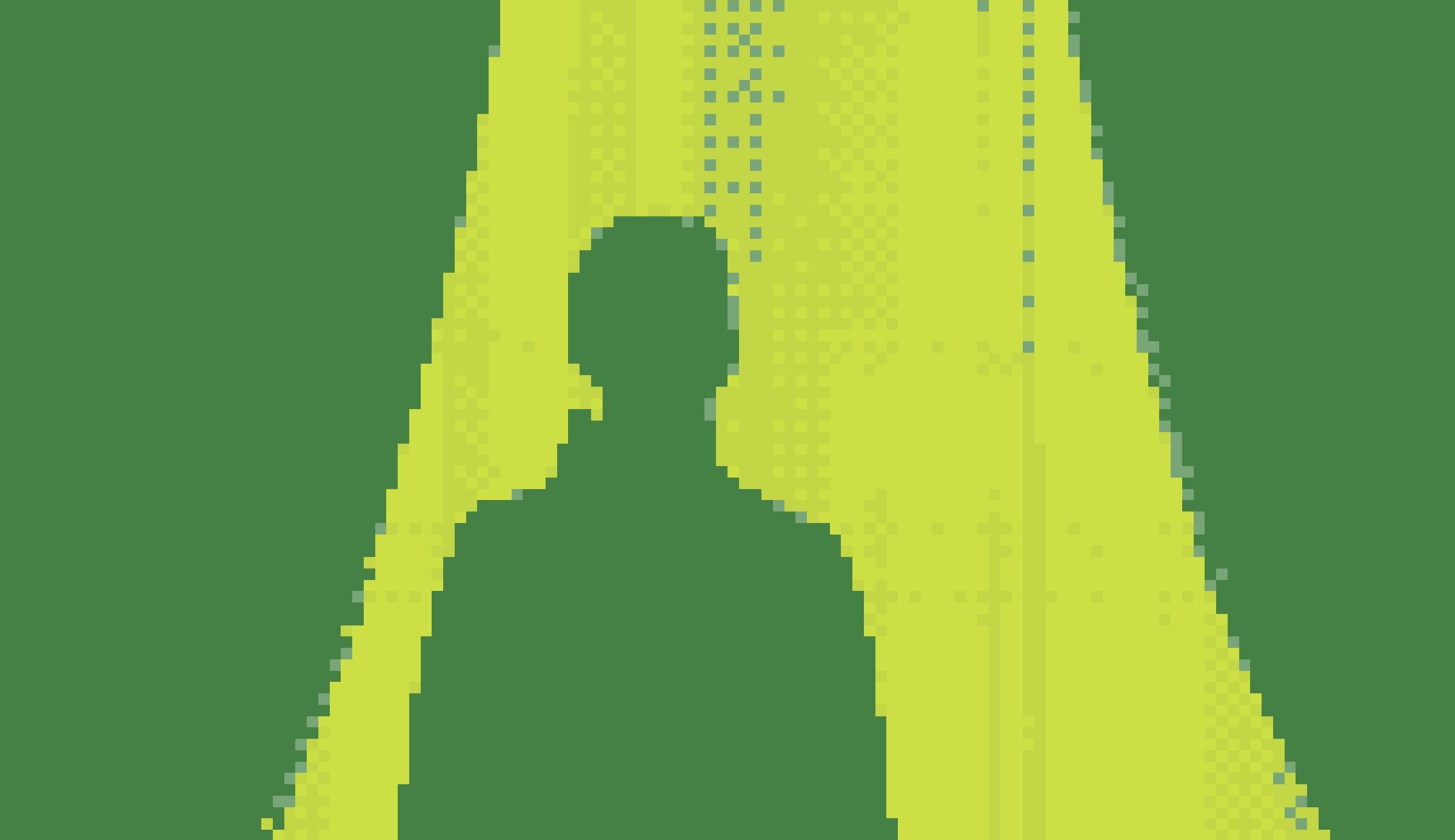 A photograph processed by the Pocket machine. Your face as a 4-tone green blob.