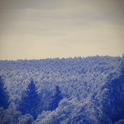 A forest seen from above, processed by the Añil machine: print duotone, not a tinted photo