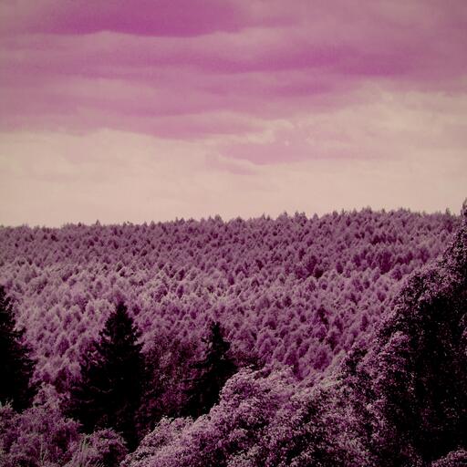 A forest seen from above, processed by the Espectro machine: the green that turns hot pink