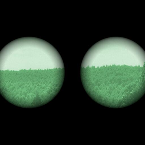 A forest seen from above, processed by the Fósforo machine: night vision through binoculars