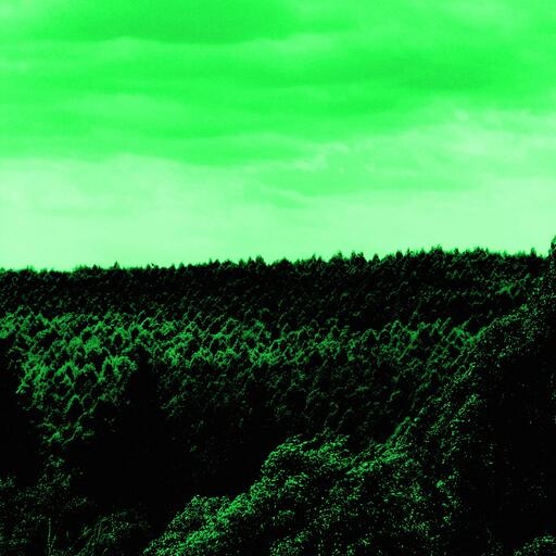 A forest seen from above, processed by the Térmica machine: heat that glows green and white
