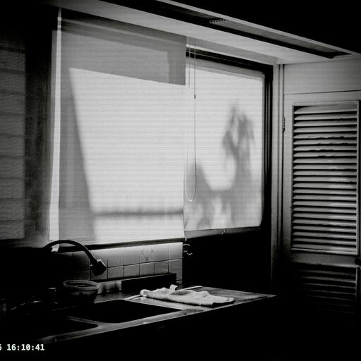 A kitchen window in daylight, processed by the Vigía machine: security camera, timestamped